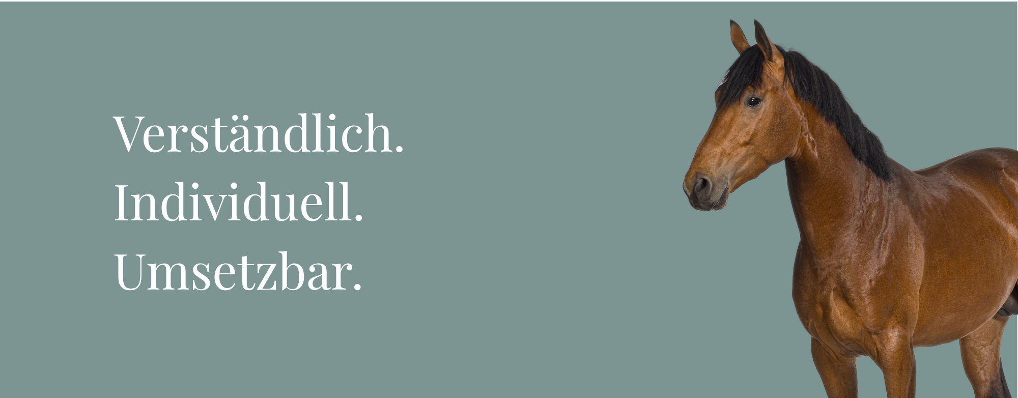 salbeigrüner Hintergrund, Verständlich, Individuell, Umsetzbar. Pferd braun.